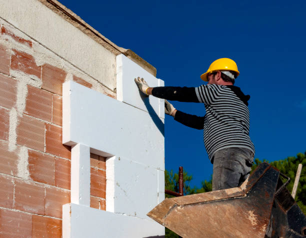 Best Insulation Removal  in Anderson, MO