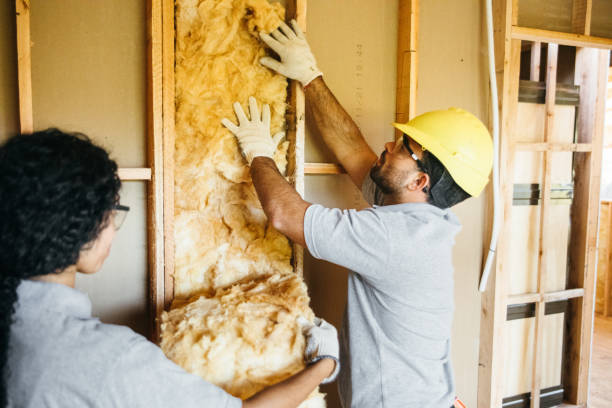 Professional Insulation Contractor in Anderson, MO