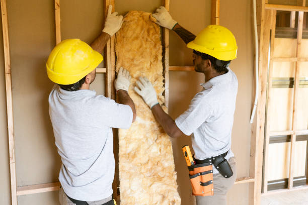 Best Soundproof Insulation Installation  in Anderson, MO