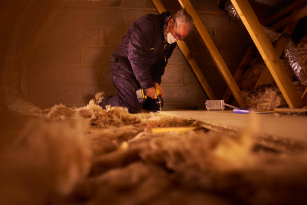Best Insulation Replacement Services  in Anderson, MO